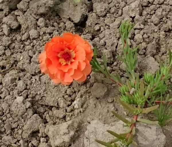 2020�N�_������A